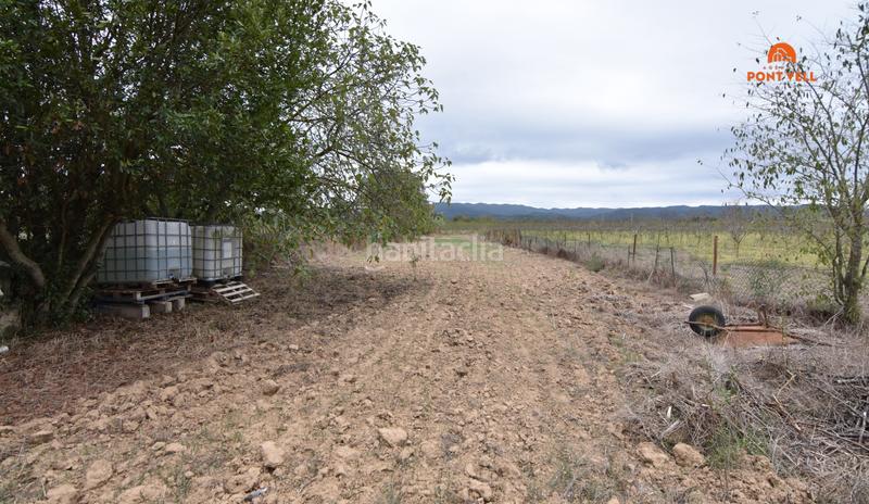 Foto f218a04b-93e0-4f13-8de8-7c1fef9dbbb8. Residential plot in Cruïlles, Monells i Sant Sadurní de l´Heura