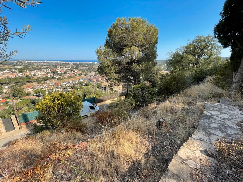 Foto bdda94b1-2097-4d14-b175-3767fac1defc. Terreny residencial a Cabanyes-Mas Ambrós-Mas Pallí Calonge