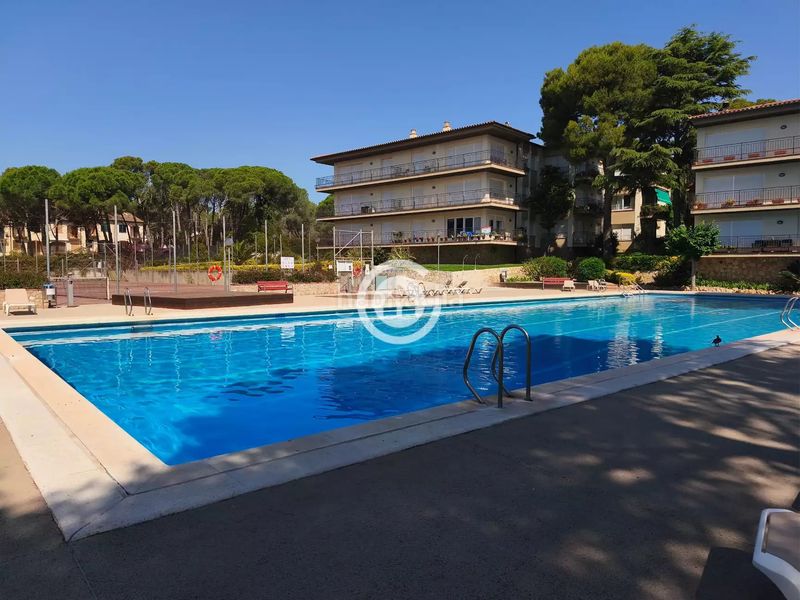 Foto 3c7ad0cb-21a5-4465-89c7-ba1af54e4013. Pis a Calella de Palafrugell