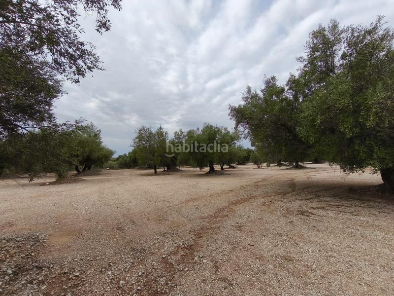 Foto 731d7fbe-5485-4ac7-b6f1-f5b0613edc30. Finca rústica a Mas de Barberans