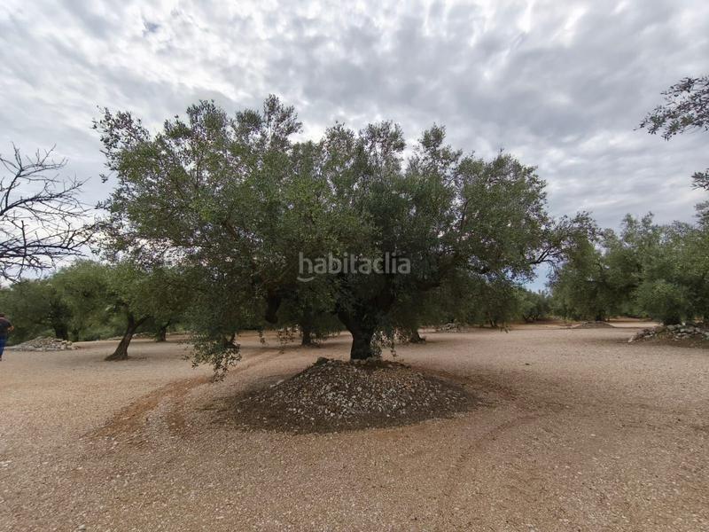 Foto b5e0ea71-dc7b-4395-85b6-a364145c52d1. Finca rústica a Mas de Barberans