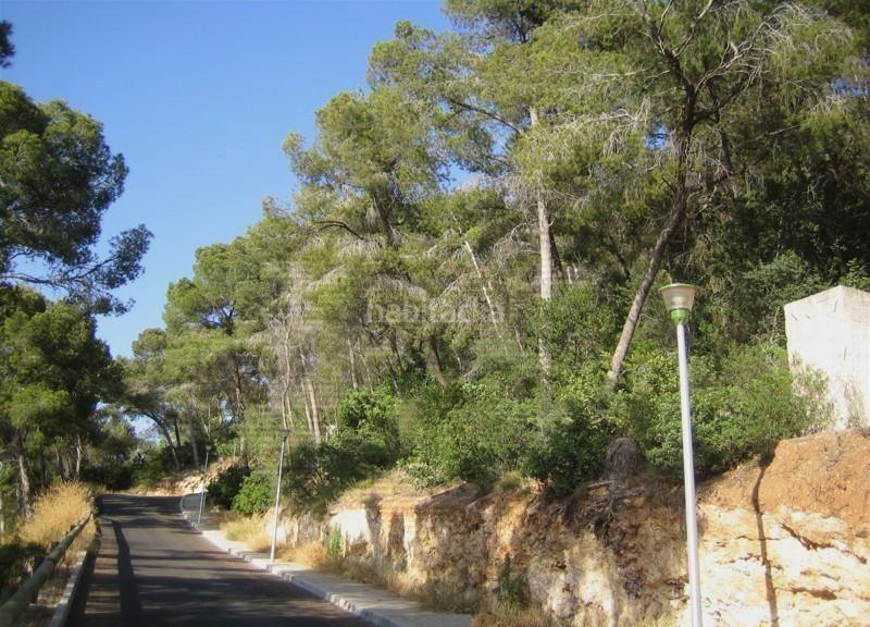 Foto be862684-0623-4eb9-b6c6-b36911308c9d. Terrain résidentiel dans Portals Nous Calvià