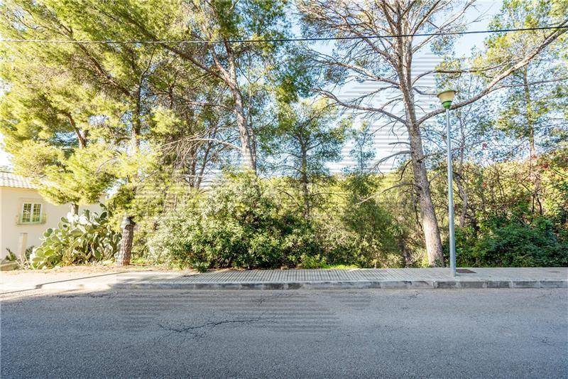 Foto d637993c-70dc-413e-8e7e-9c068a19c9c4. Terreno residenziale in Portals Nous Calvià