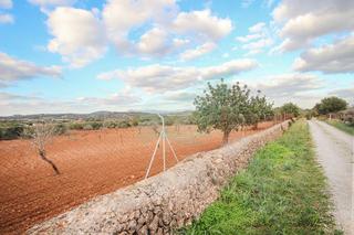 Finca rústica a Manacor Centre. Solar rustico de 42.000m2 aprox. apto para construir una casa un