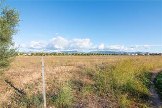 Terrain résidentiel à Els pla de na Tesa. Solar urbano de 957m2 aprox. apto para construir vivienda unifam