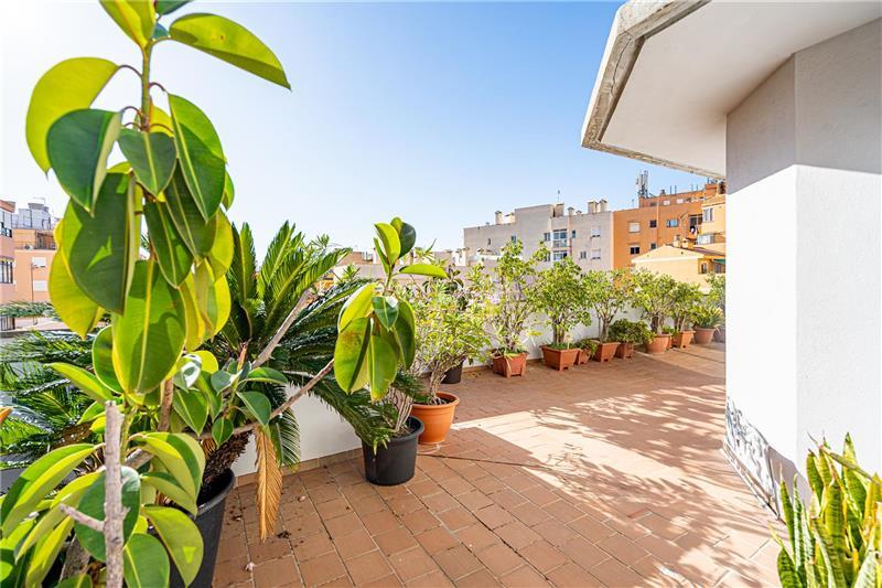 Foto be8e60e7-6fb8-42dd-8f42-9d0b19412a9f. Miete dachwohnung in Camp D´en Serralta Palma de Mallorca