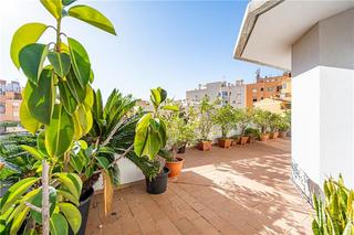 Penthouse in Camp D´en Serralta