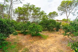 Masia a Algaida. Finca rústica en solar de 3841m2 aprox. en zona algaida,