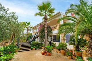 Masia a Algaida. Finca rústica en solar de 3841m2 aprox. en zona algaida,