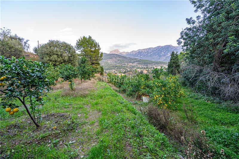 Foto 63acceee-1718-4751-bd49-38fe016dec24. Finca rústica a Sóller