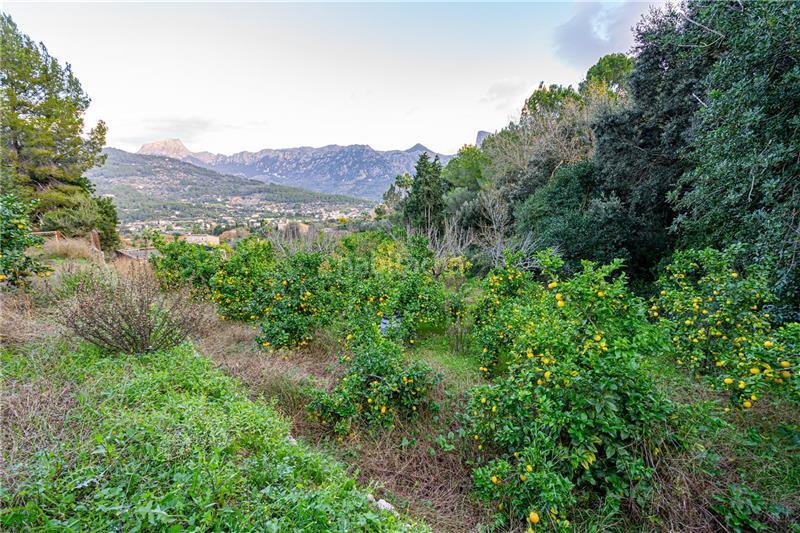 Foto d81b25ec-7799-4fe1-93f2-2d432a49fd14. Finca rústica a Sóller