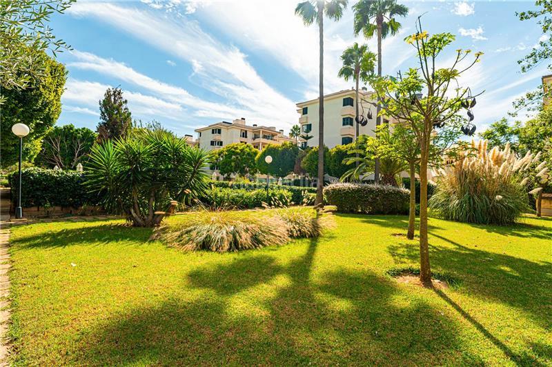 Foto 3e829761-9eba-4a14-8d26-34f577903590. Location appartement dans carrer del llaüt 21 dans Les Maravelles Palma de Mallorca