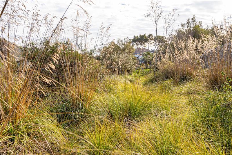 Foto f1601821-1657-4416-a35c-d355071d7dea. Terreno residenziale in Puigpunyent