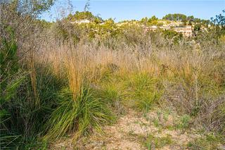 Residential Plot in Puigpunyent. Solar urbano edificable en zona galilea,