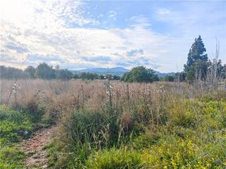 Finca rústica a Son Sardina. Carretera soller. solar de 169.025m2 aprox. apto para construir