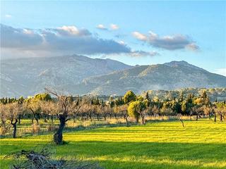 Finca rústica a Selva. Terreno con impresionantes vistas en la zona de selva con proyec
