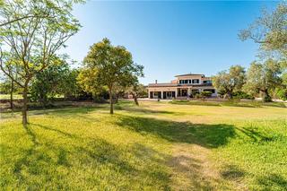 Masia a Algaida. Finca rústica con piscina en solar de 15.600m2 aprox. y licencia