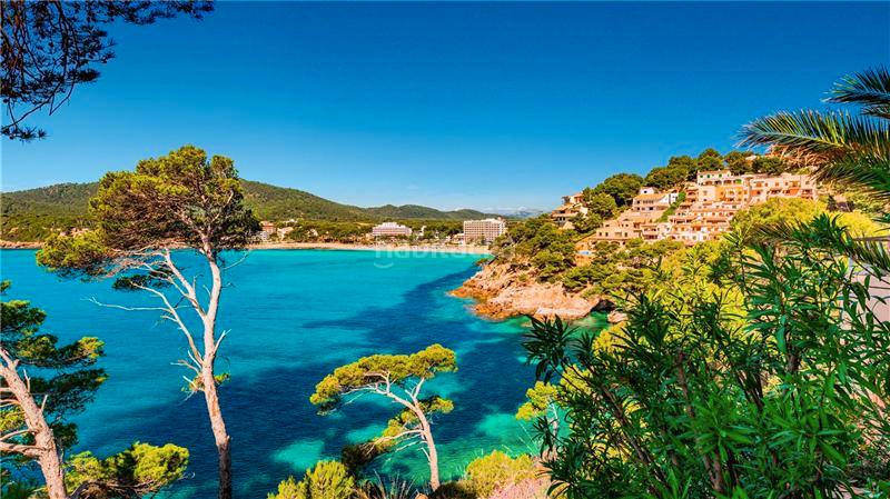 Foto ad609d6d-9a5b-4fb0-99f0-f34727a1a55e. Apartament amb piscina a Cala Bona Son Servera
