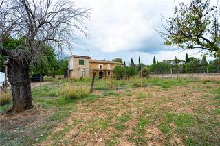 Masia a Selva. Finca rústica en solar de 7.510 m² aprox. con vistas despejadas