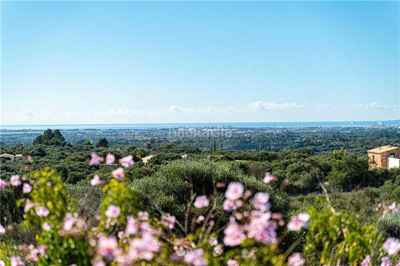 Foto 01ed5636-93f5-4c0b-9676-70e70c7dfb71. Chalet con camino parcheggio in Sa Cabaneta Marratxí