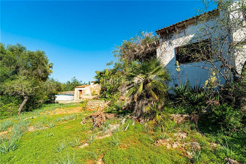 Foto 3e65ebae-fe3b-4e74-8910-1aa162de6947. Chalet con camino parcheggio in Sa Cabaneta Marratxí