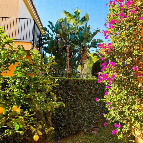 Foto 5c1654b2-4956-4fb1-8e13-fc4b9985c61a. Planta baixa amb aparcament piscina a Sa Ràpita - Ses Covetes Campos