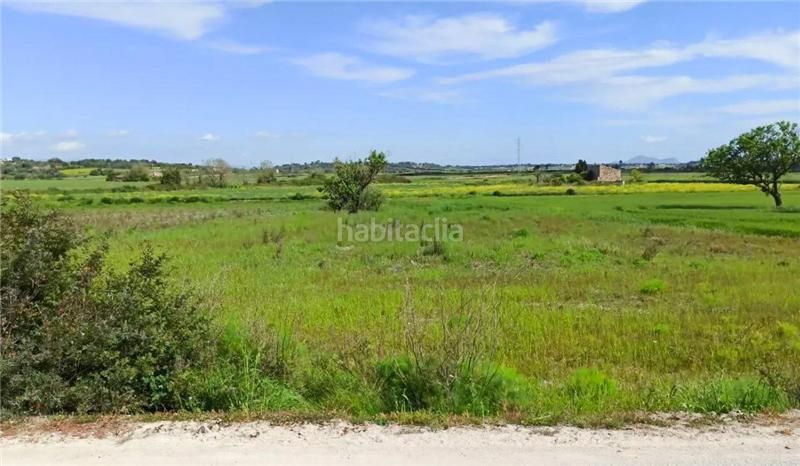 Foto 251d5bc8-43b0-49eb-af25-0f956a6d505c. Finca rústica a Santa Margalida poble Santa Margalida