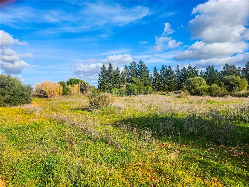 Foto 4ee103c1-471b-40ce-9a0f-c82f4c452f15. Finca rústica a Felanitx poble Felanitx