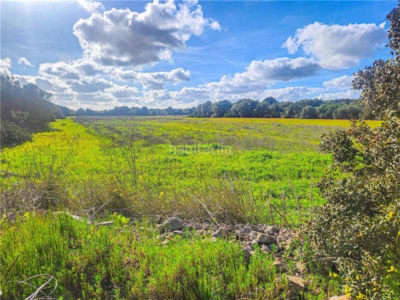 Foto d0620990-445f-4aaa-9b03-d1dd1f4e5be9. Finca rústica a Felanitx poble Felanitx