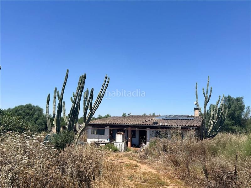 Foto 54d4e062-708d-4384-afc8-9fcf13141af0. Finca rústica solar edificable de 23.000m2 aprox., en Manacor