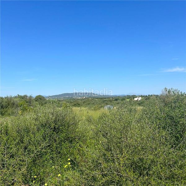 Foto b5f3e2a0-8a25-421d-b13b-71c6b8dee574. Finca rústica solar edificable de 23.000m2 aprox., en Manacor