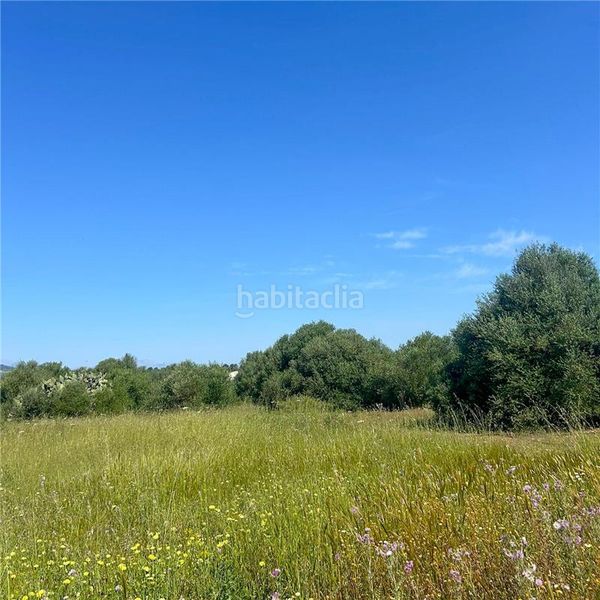 Foto e56c02ff-277e-407d-86c9-5e24d927d230. Finca rústica solar edificable de 23.000m2 aprox., en Manacor