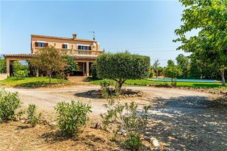 Masia a Binissalem. Finca rústica en solar de 14.167m2 aprox.,