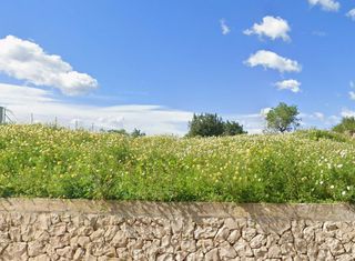 Terreny residencial a Vilafranca de Bonany