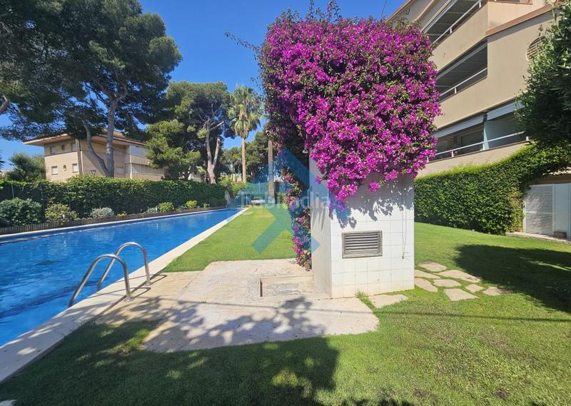 Foto a3b6adf3-215b-436a-a89d-60729f2796b4. Alquiler piso disponible en alquiler de larga duración a en Sitges
