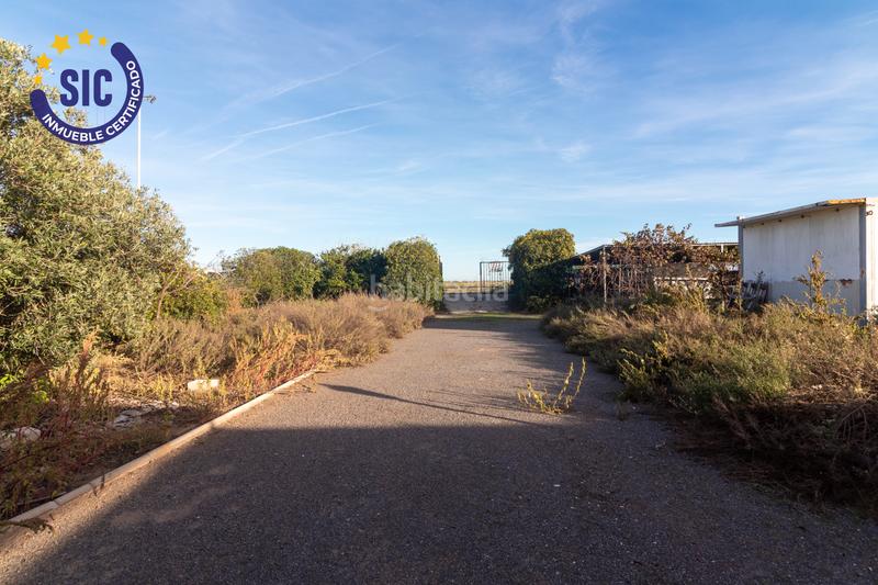 Foto c923960c-c8d4-4c5a-b13f-17711e6e6f34. Wohngrundstück in Almenara - pl playa sapu-p 179 in Almenara