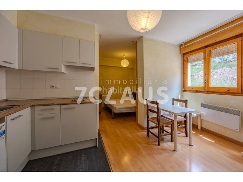 Foto 2655b5ba-2def-4c4d-8ed7-2bd5377af861. Studio dans calle cortals 1 dans Els Cortals Encamp