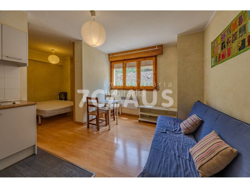 Foto f39651b5-1ce5-454d-82fc-297884878571. Studio dans calle cortals 1 dans Els Cortals Encamp