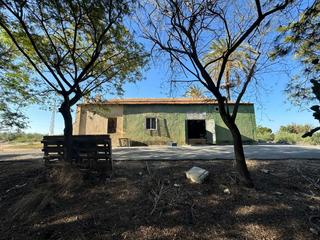 Xalet a Partida polígono 62 parcela 80 daimes. elche/elx (alicant 62. Finca de 28.800 m2 en carretera de dolores con 600 olivos, 700 p