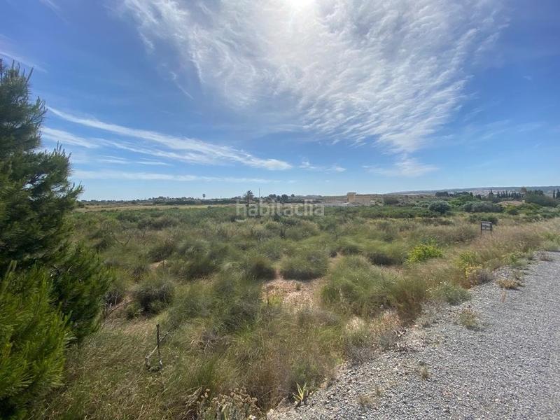 Foto 5b94f9d4-9976-41ee-be1d-89082556f155. Rural plot in Los Arenales del Sol Elche / Elx