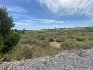Finca rústica a Los Arenales del Sol. Volver al campo.....un terreno en una zona tranquila