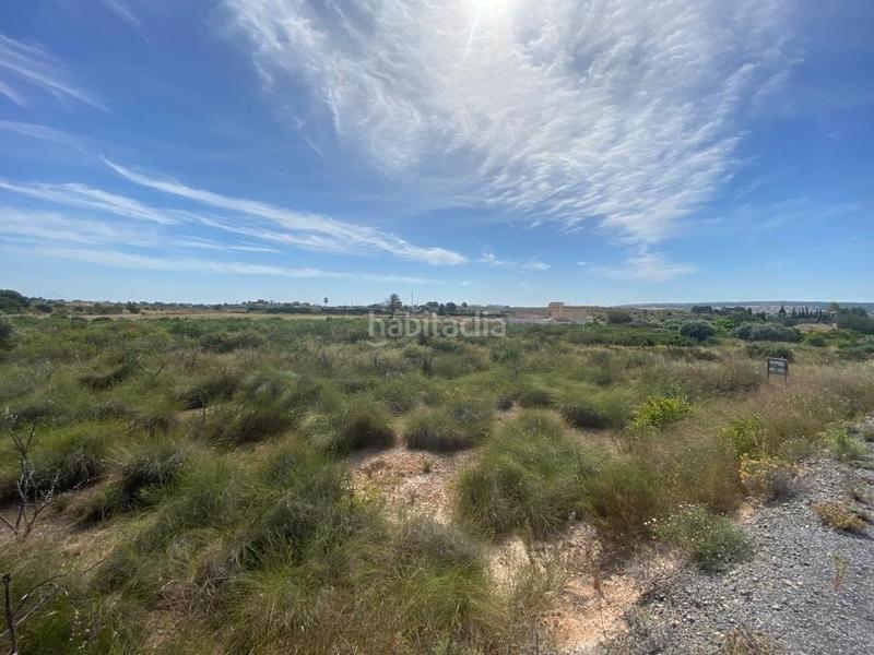Foto dc09a2ae-a4f3-46c1-a39a-f47cc7b96301. Rural plot in Los Arenales del Sol Elche / Elx