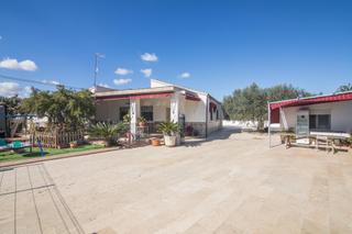 Xalet a Perleta 2164. Vivir en un oasis de tranquilidad en perleta, elche chalet con a