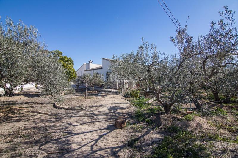 Foto 3c97942c-3234-482f-bff5-20b010442f01. Xalet a perleta 2164 a Perleta - Maitino Elche / Elx