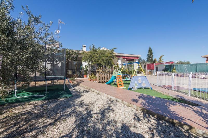 Foto 76ba4f82-585b-45e9-9ecb-e7fc8df898b6. Xalet a perleta 2164 a Perleta - Maitino Elche / Elx