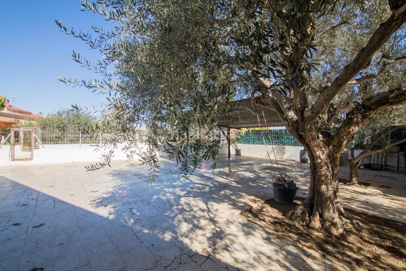 Foto a748a0b4-cd43-4bbc-bc3c-6b072a891e66. Xalet a perleta 2164 a Perleta - Maitino Elche / Elx