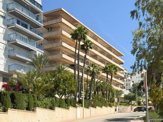 Lloguer Pis  Avenida catalanet. A partir del mes de septiembre vivienda en santa pola del este p