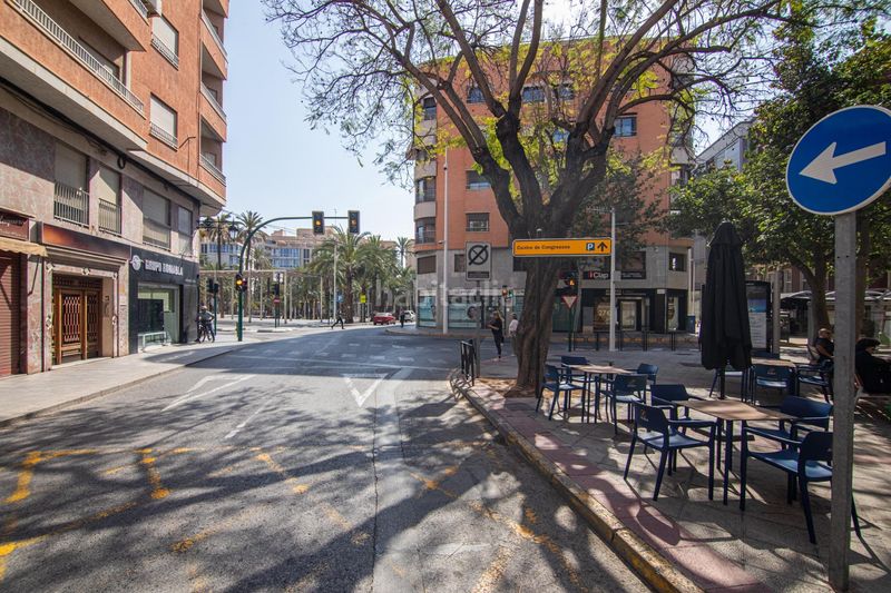 Foto f8370826-b31a-47f3-854a-ef4fbdfdf0cb. Pis a Centro Elche / Elx