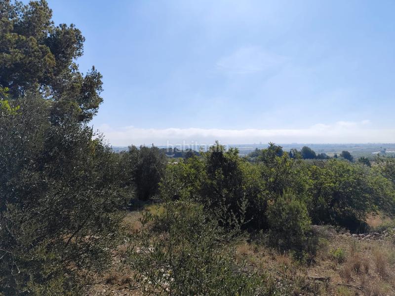 Foto a02c57b4-ba0e-4627-9b24-ceb8cb4b1bc2. Finca rústica partida bobalar en Pueblo Benicarló