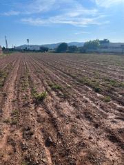 Finca rústica a La Volta. Peñiscola, ratlla del terme, terreno